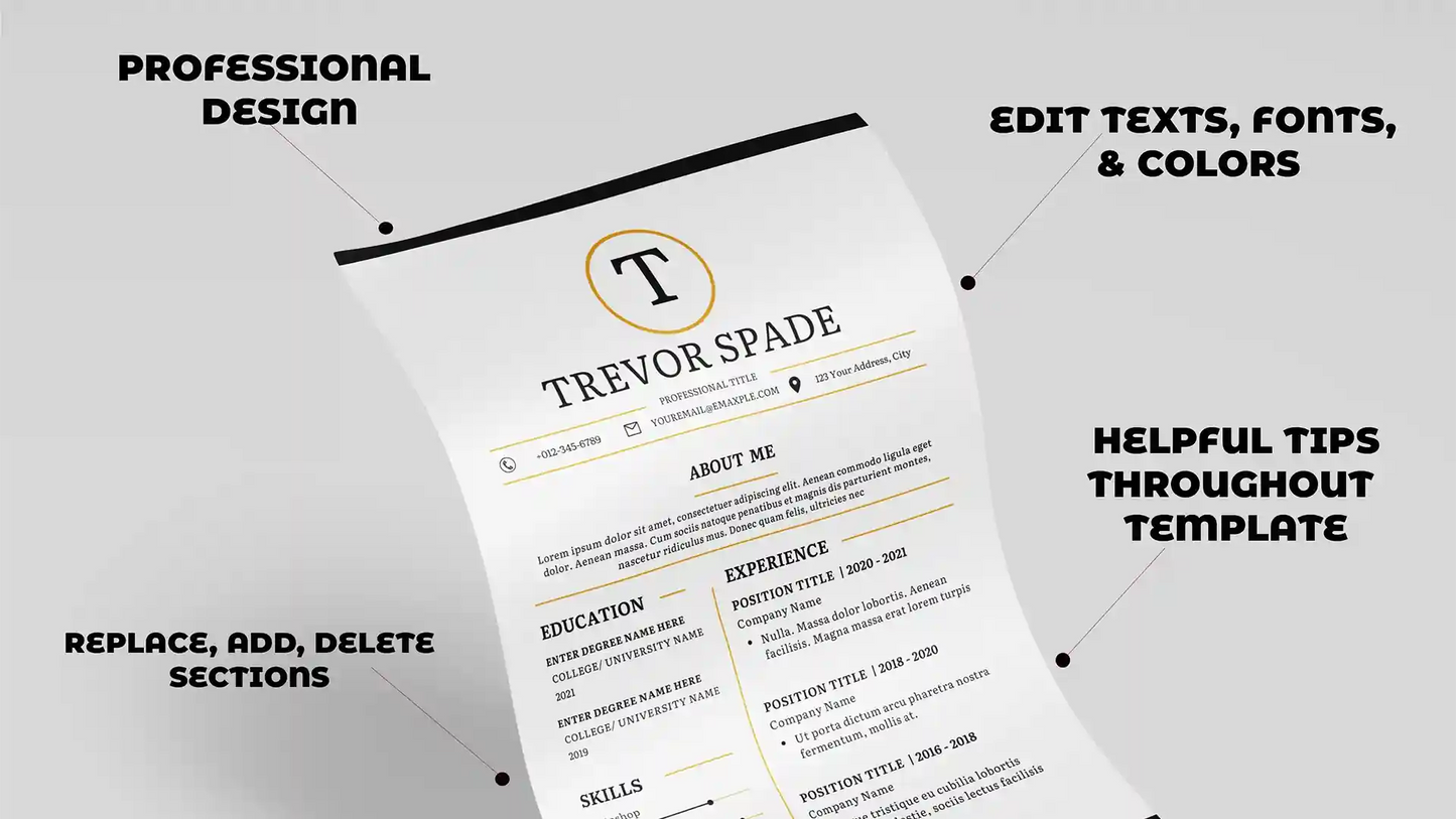 Editable Professional CV Resume Template Word Google Docs