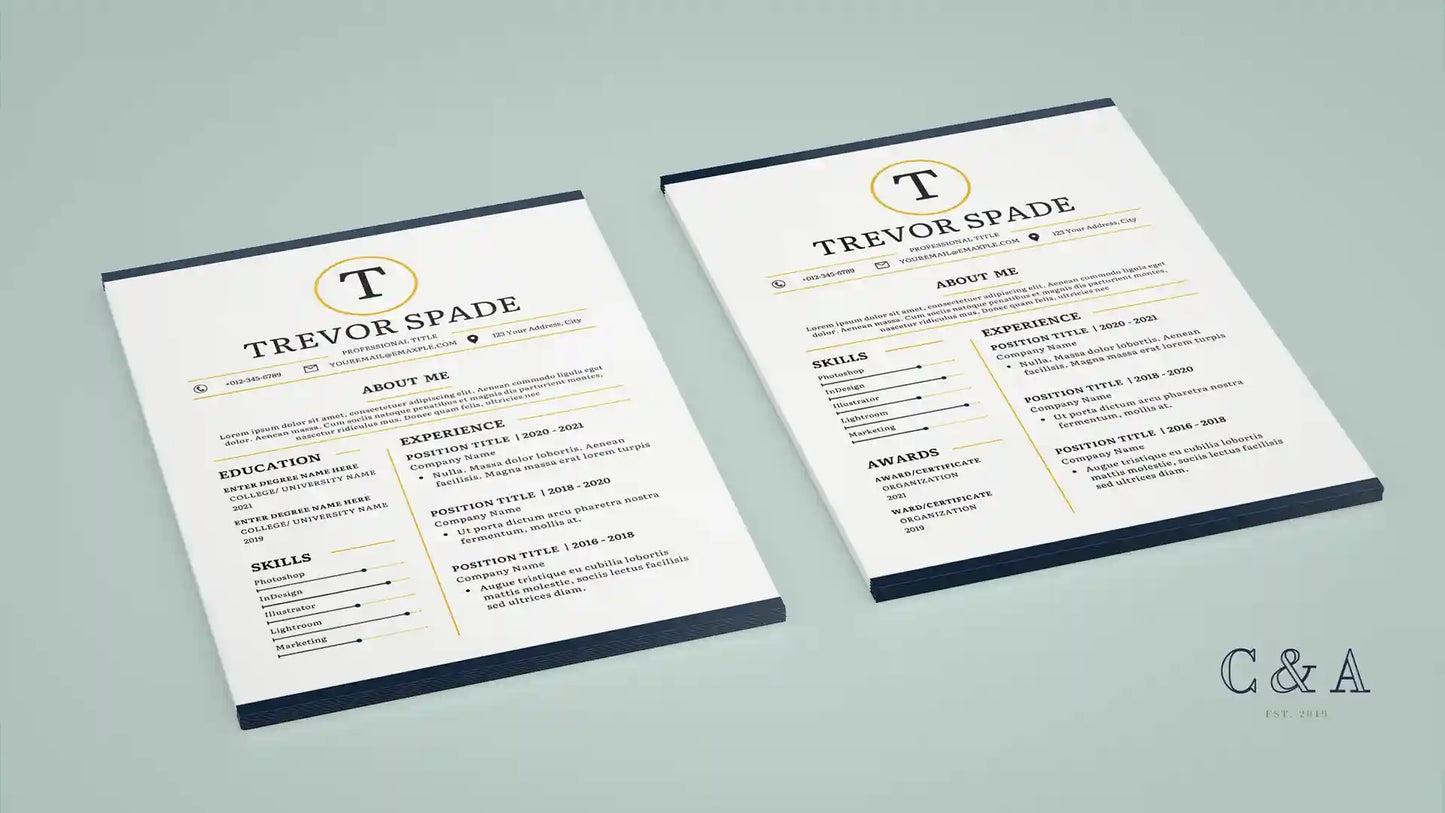 Professional Modern Resume CV Template Word Google Docs